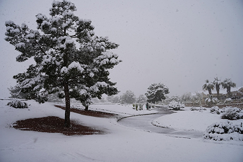 Sun City Summerlin golf course