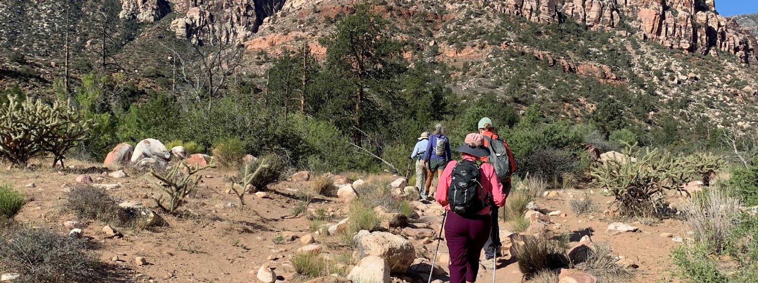 A hiking group on a desert trail