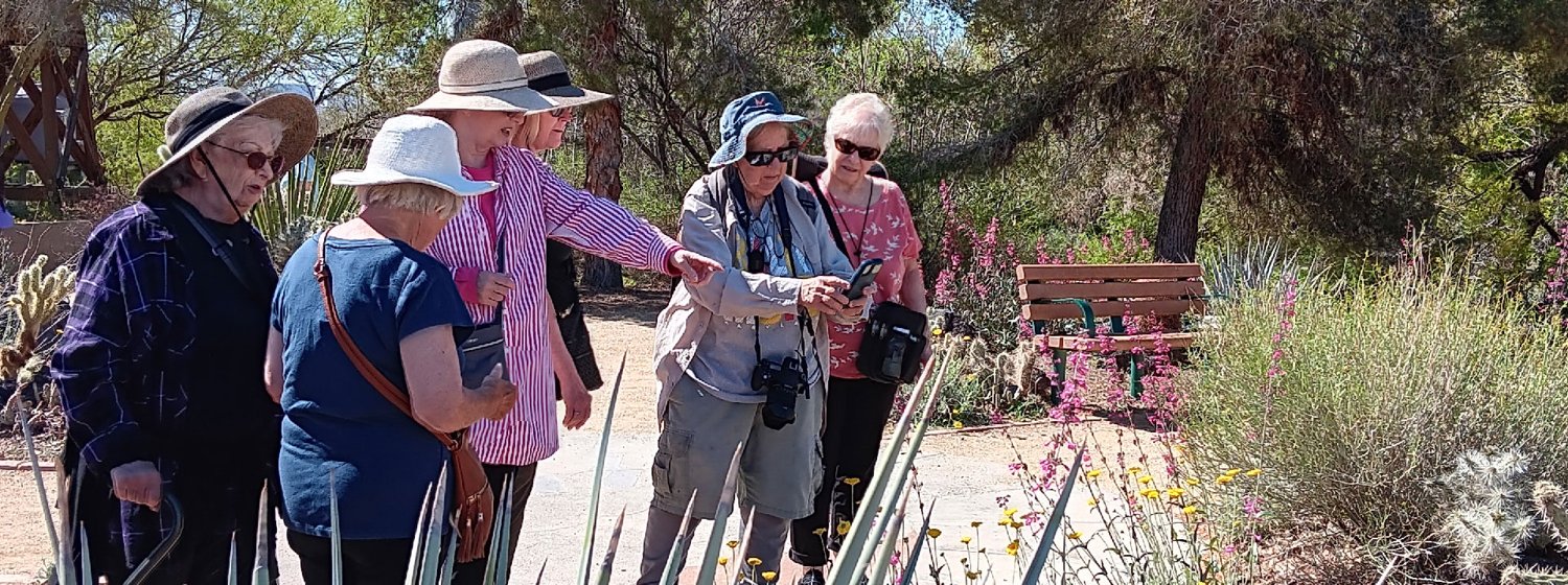 A garden club gathered outdoors