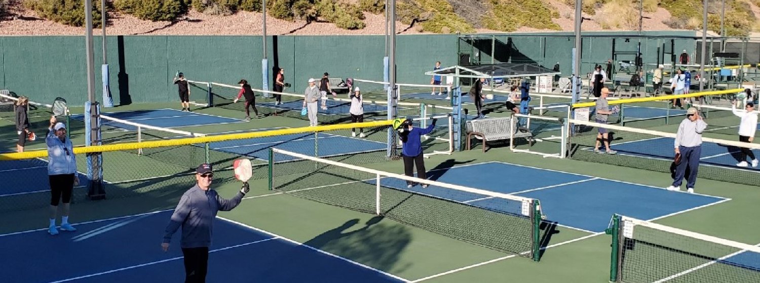 Community pickleball players